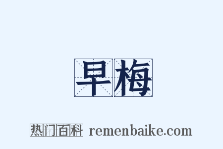 早梅是什么意思的图片